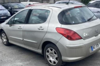 Malle/Hayon arriere PEUGEOT 308 1