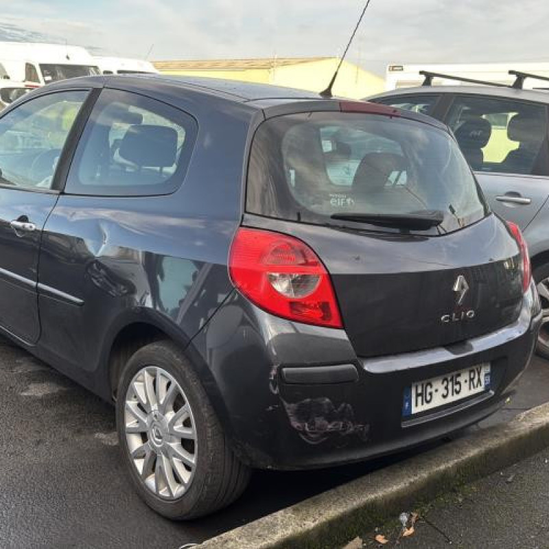 Custode arriere droit RENAULT CLIO 3 Photo n°8
