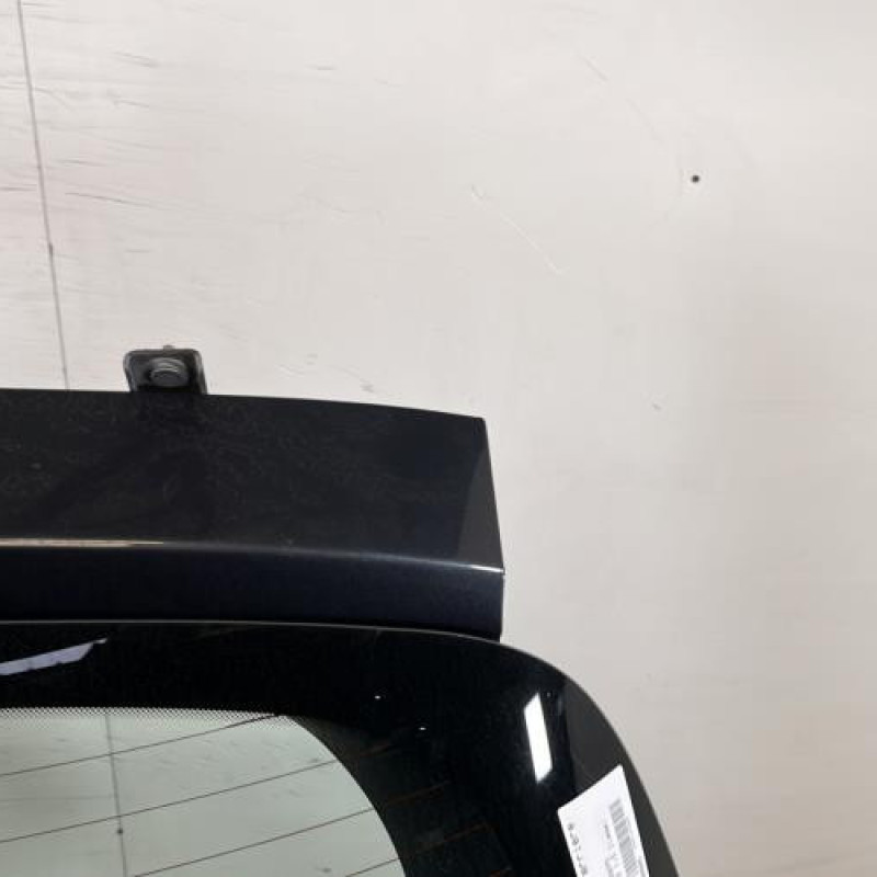 Malle/Hayon arriere RENAULT CLIO 3 Photo n°3