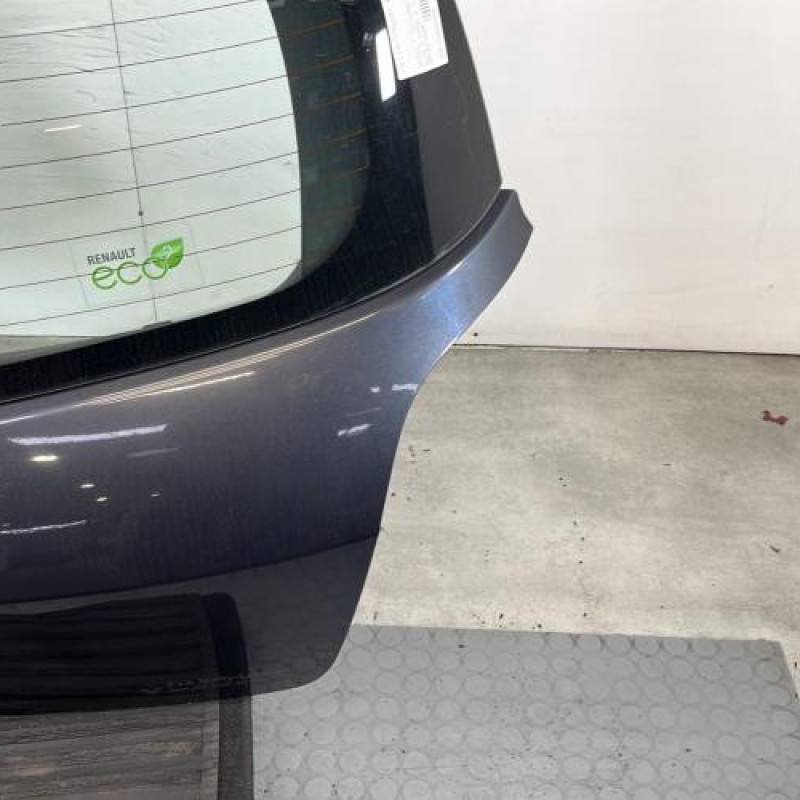 Malle/Hayon arriere RENAULT CLIO 3 Photo n°4