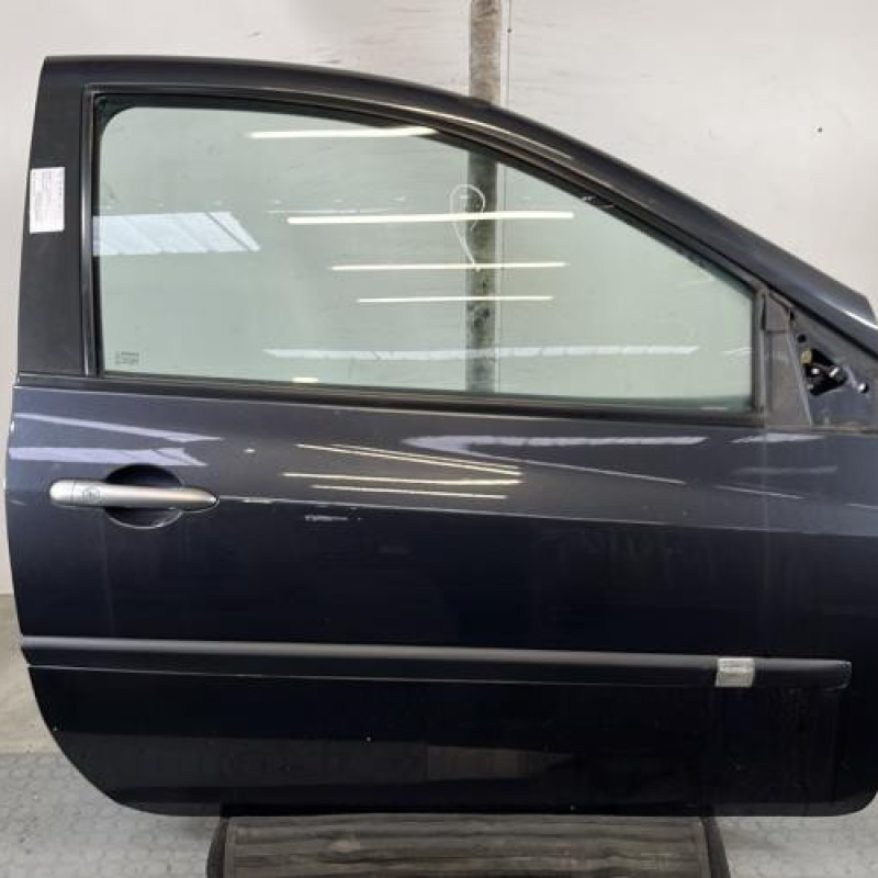 Porte avant droit RENAULT CLIO 3 Photo n°1