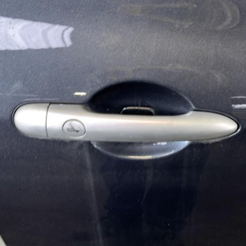 Porte avant droit RENAULT CLIO 3 Photo n°2