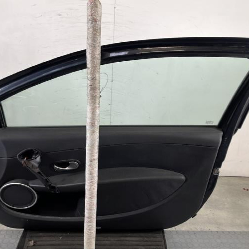 Porte avant droit RENAULT CLIO 3 Photo n°6