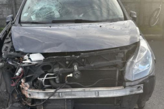 Porte avant droit RENAULT CLIO 3