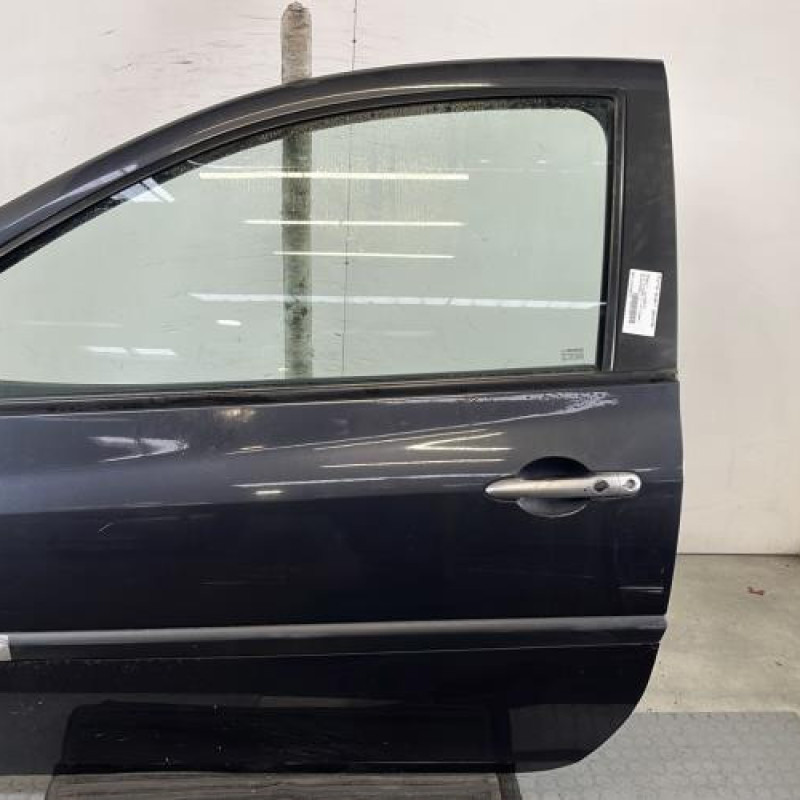 Porte avant gauche RENAULT CLIO 3 Photo n°1