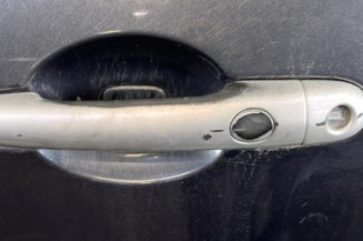 Porte avant gauche RENAULT CLIO 3