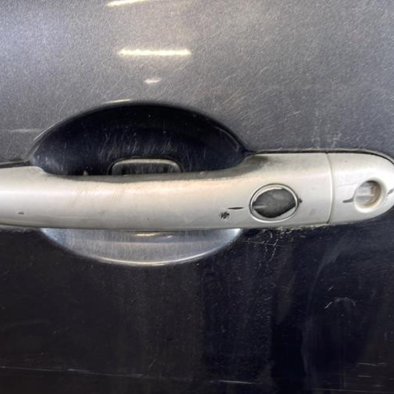 Porte avant gauche RENAULT CLIO 3 Photo n°2