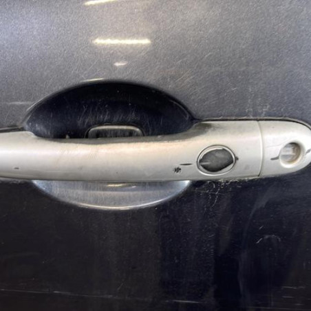 Porte avant gauche RENAULT CLIO 3