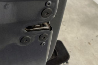 Porte avant gauche RENAULT CLIO 3