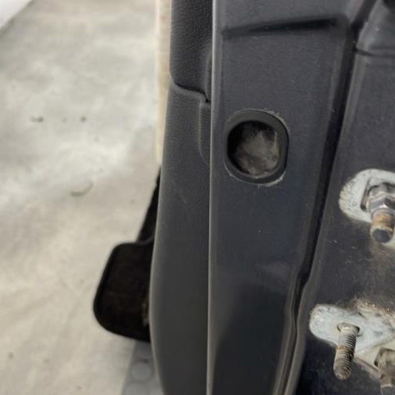 Porte avant gauche RENAULT CLIO 3 Photo n°4