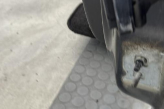 Porte avant gauche RENAULT CLIO 3