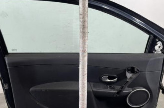 Porte avant gauche RENAULT CLIO 3