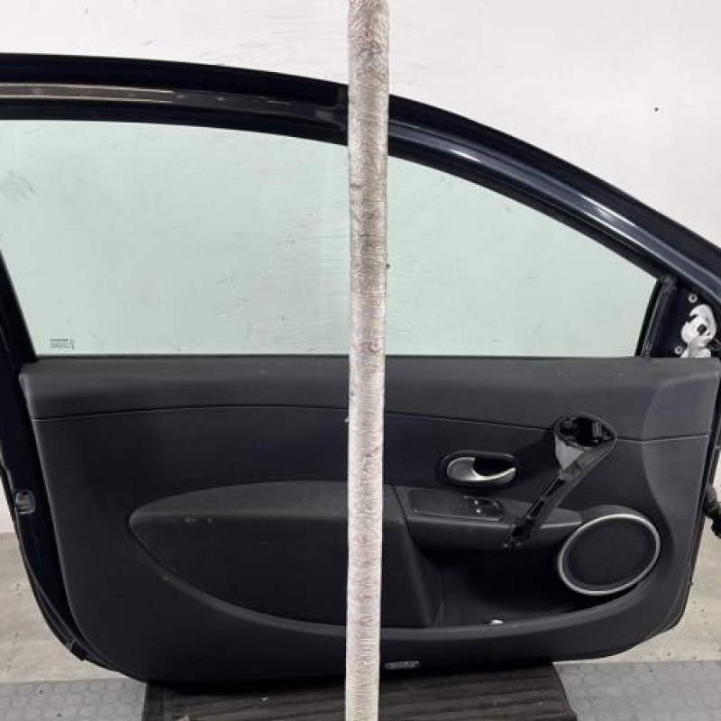 Porte avant gauche RENAULT CLIO 3 Photo n°6