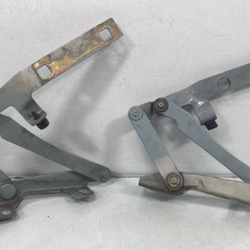 Charniere de capot CITROEN JUMPER 1 Photo n°1