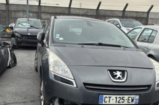 Porte arriere gauche PEUGEOT 5008 1