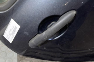 Porte arriere droit RENAULT CLIO 3