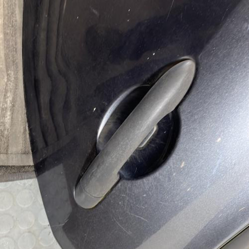 Porte arriere gauche RENAULT CLIO 3 Photo n°2