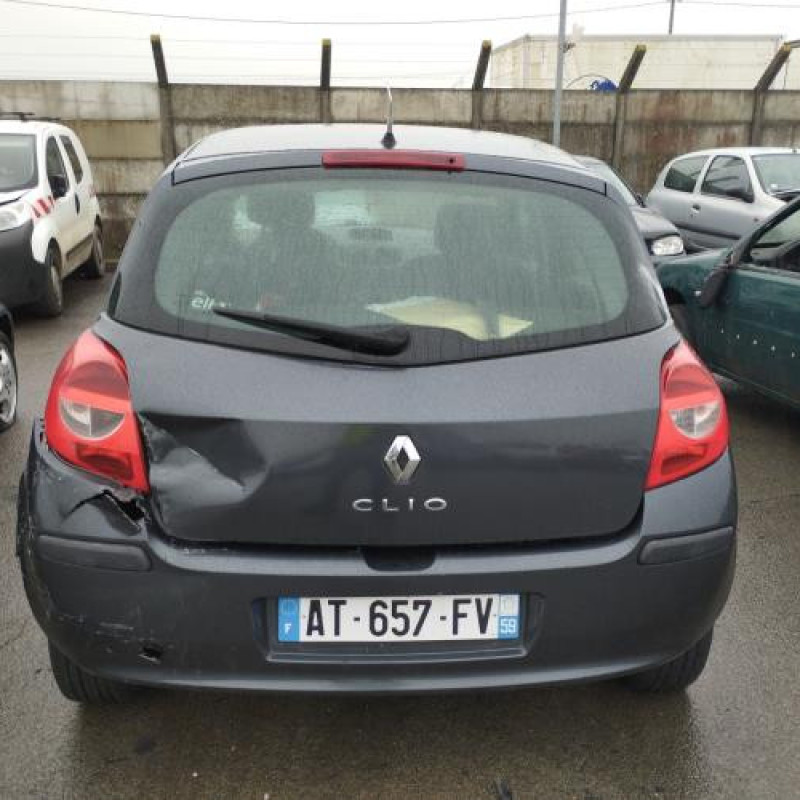 Porte arriere gauche RENAULT CLIO 3 Photo n°10