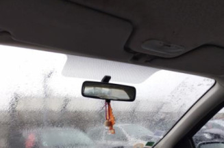 Porte arriere gauche RENAULT CLIO 3