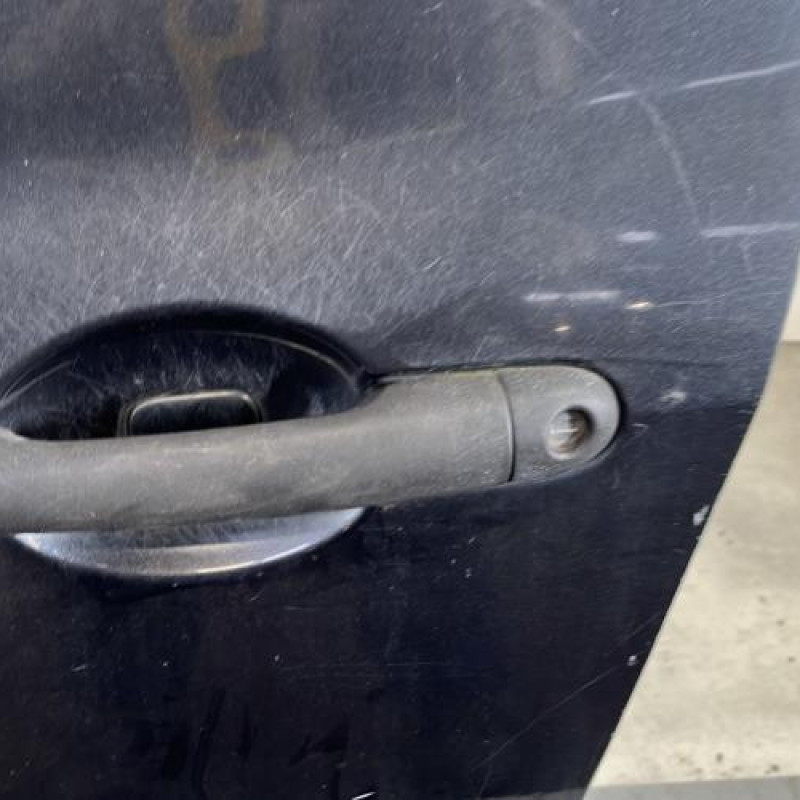 Porte avant gauche RENAULT CLIO 3 Photo n°2