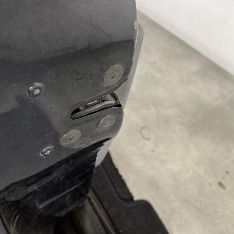 Porte avant gauche RENAULT CLIO 3 Photo n°3