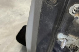 Porte avant gauche RENAULT CLIO 3