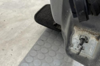 Porte avant gauche RENAULT CLIO 3