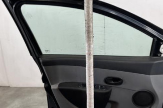 Porte avant gauche RENAULT CLIO 3