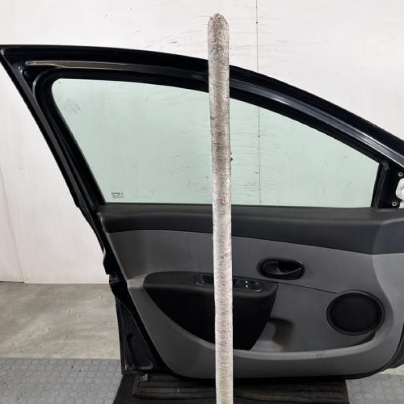 Porte avant gauche RENAULT CLIO 3 Photo n°6
