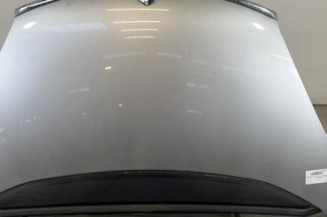 Capot CITROEN C4 PICASSO 1 Photo n°1