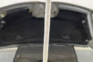 Capot CITROEN C4 PICASSO 1