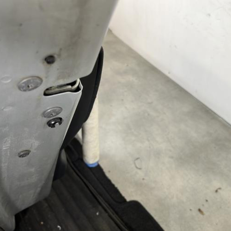 Porte arriere gauche CITROEN C4 PICASSO 1 Photo n°3