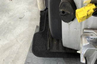 Porte arriere gauche CITROEN C4 PICASSO 1