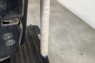 Porte arriere gauche PEUGEOT 208 1