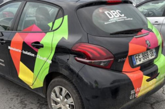 Porte arriere gauche PEUGEOT 208 1