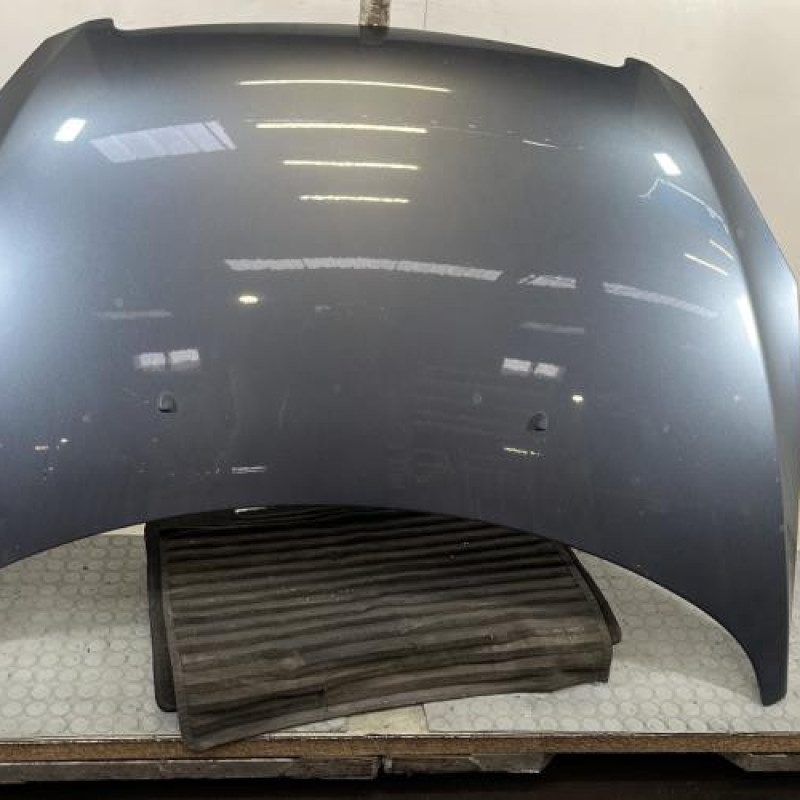 Capot PEUGEOT 307 Photo n°1