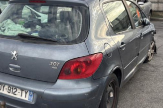 Capot PEUGEOT 307