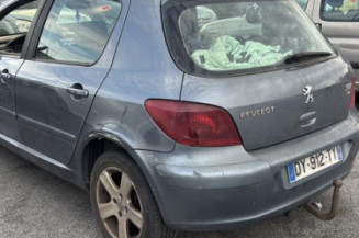 Capot PEUGEOT 307
