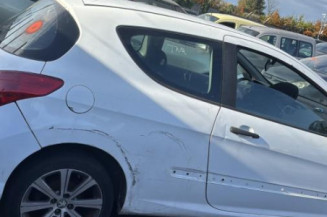 Custode arriere gauche PEUGEOT 308 1