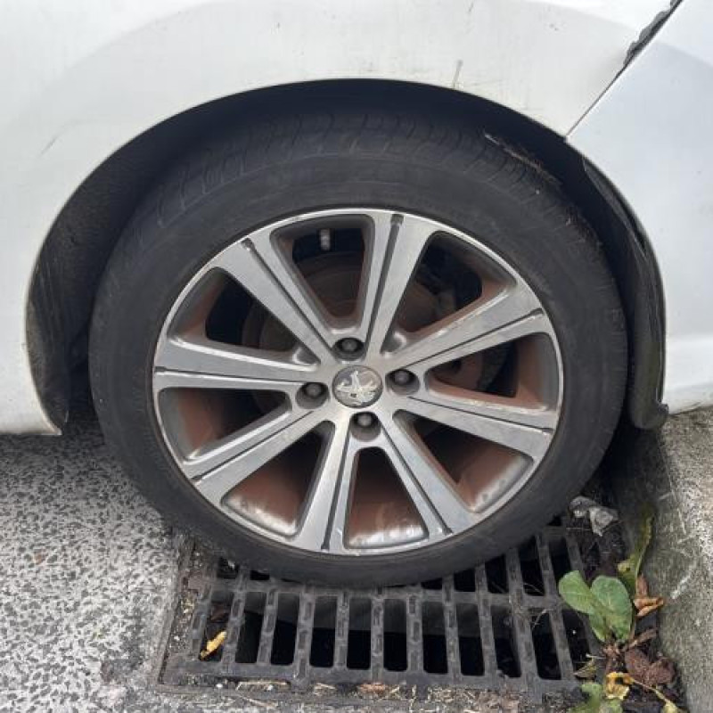 Custode arriere gauche PEUGEOT 308 1 Photo n°13