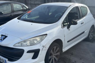 Custode avant gauche (porte) PEUGEOT 308 1