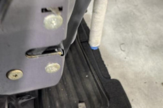 Porte arriere gauche RENAULT SAFRANE