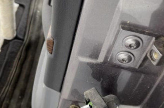 Porte arriere gauche RENAULT SAFRANE