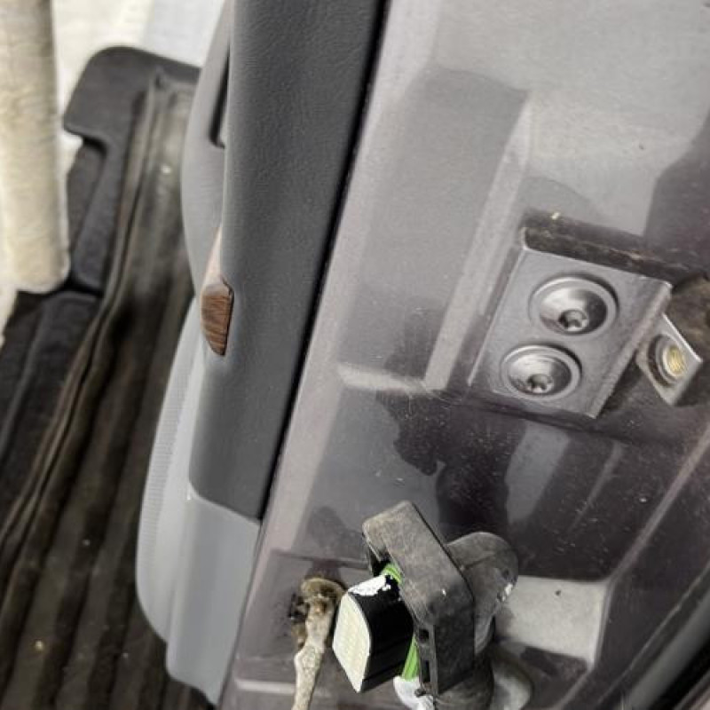 Porte arriere gauche RENAULT SAFRANE Photo n°4