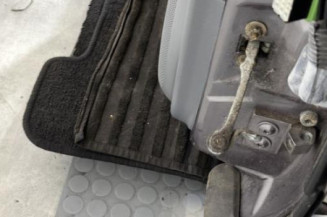 Porte arriere gauche RENAULT SAFRANE