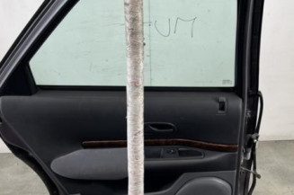 Porte arriere gauche RENAULT SAFRANE