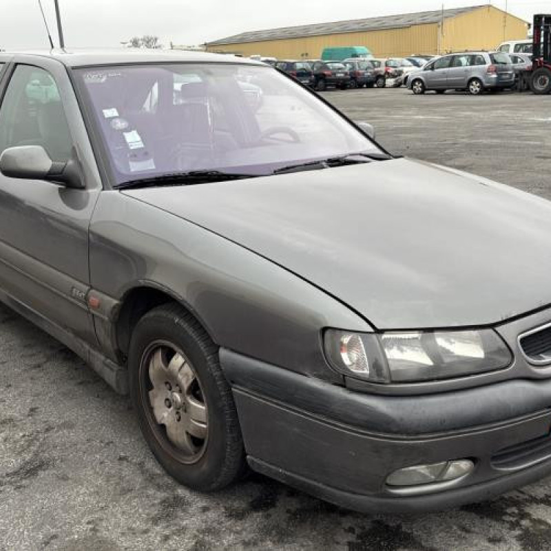 Porte arriere gauche RENAULT SAFRANE Photo n°8