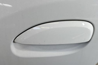 Porte arriere gauche DACIA SANDERO 2