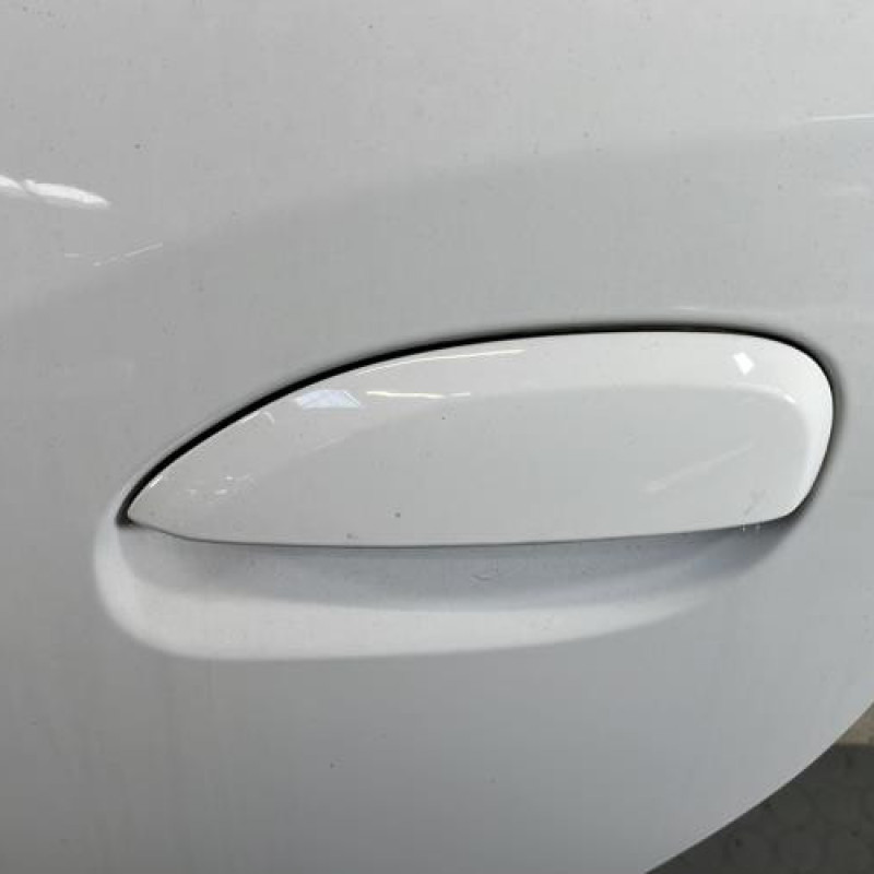 Porte arriere gauche DACIA SANDERO 2 Photo n°2