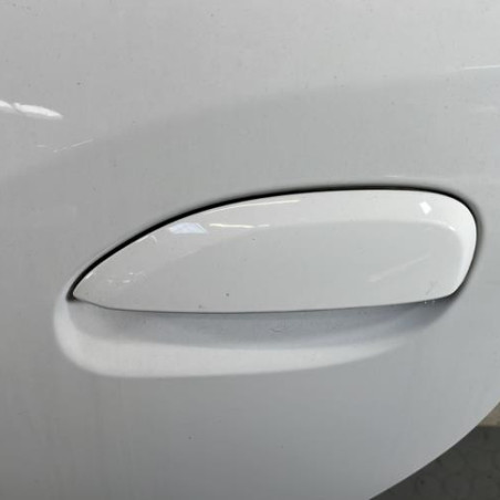 Porte arriere gauche DACIA SANDERO 2